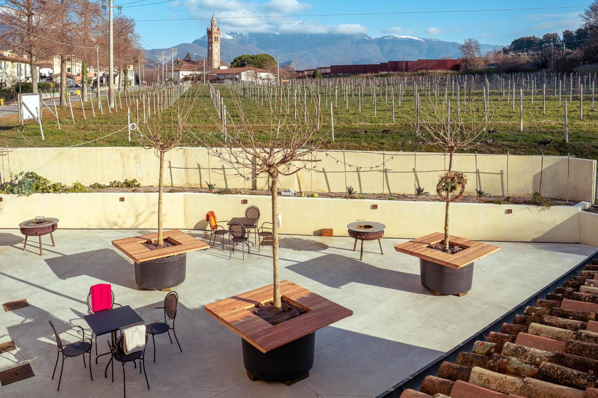 Agriturismo La Vigna Di Sarah 비토리오베네토 외부 사진