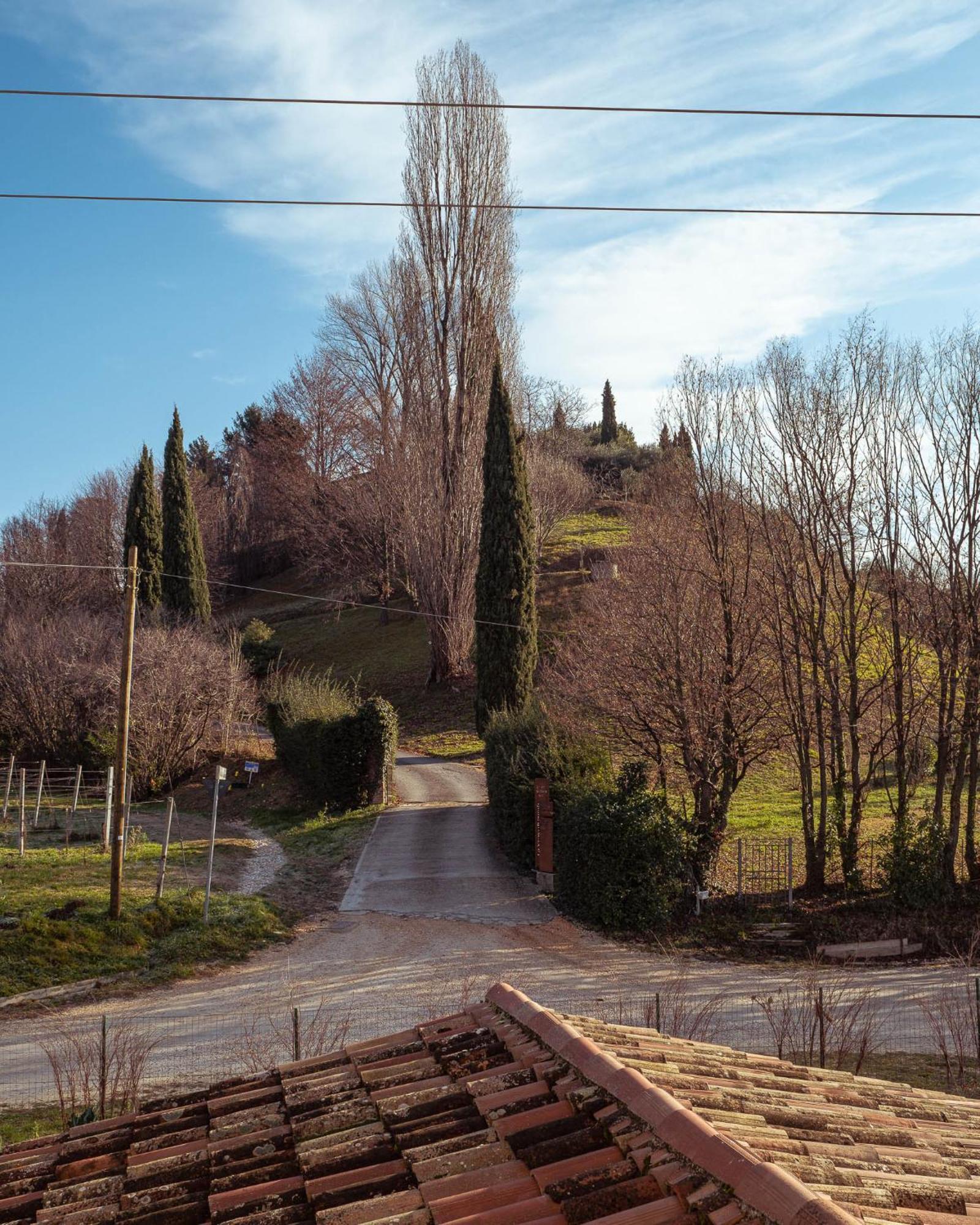 Agriturismo La Vigna Di Sarah 비토리오베네토 외부 사진